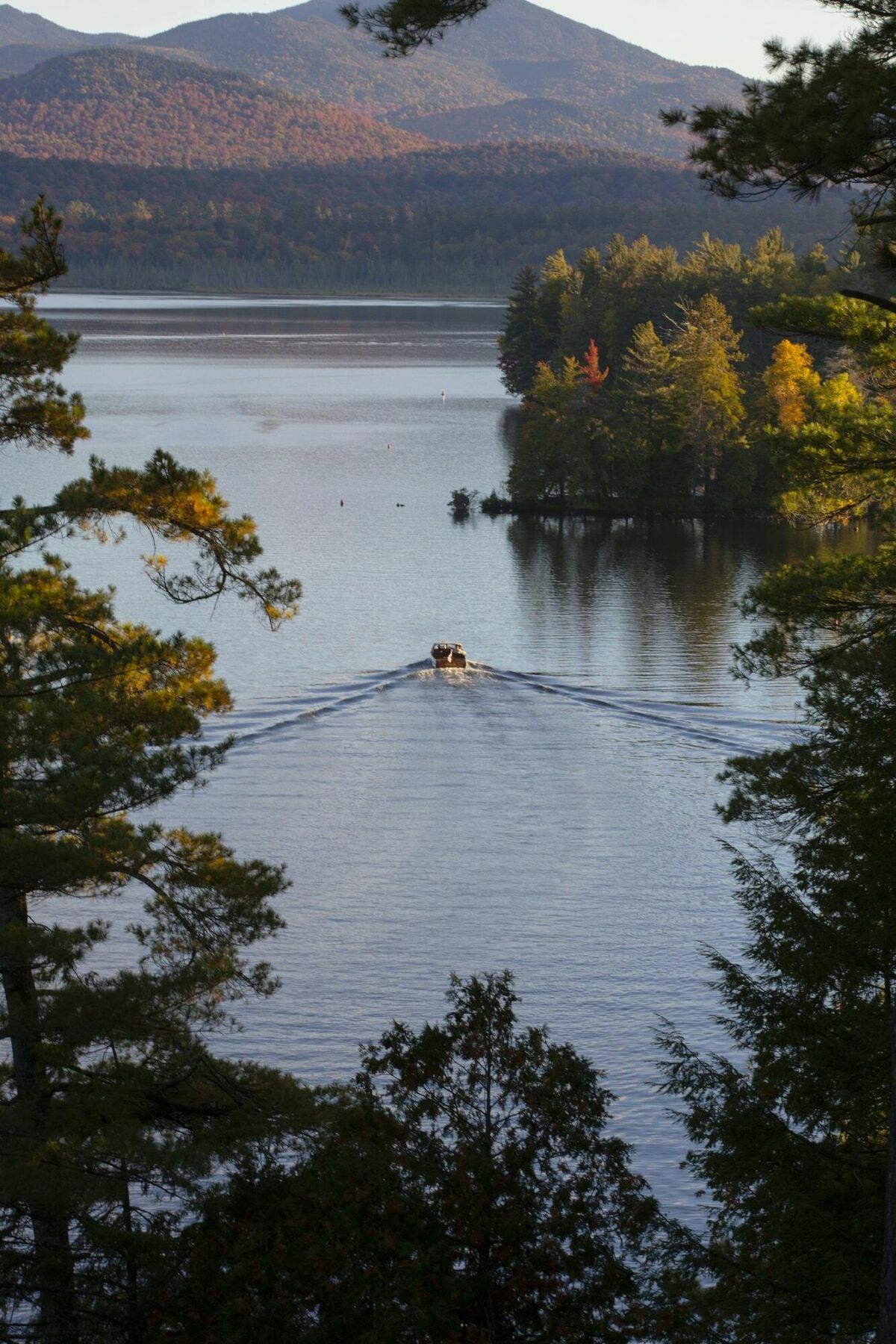 Saranac, Curio Collection By Hilton Hotel